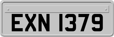 EXN1379