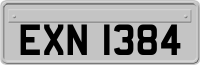 EXN1384
