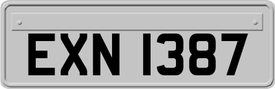 EXN1387