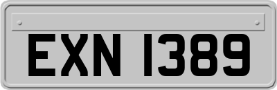 EXN1389