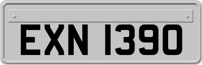 EXN1390