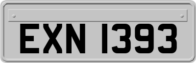 EXN1393