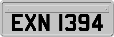 EXN1394