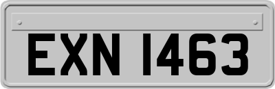 EXN1463