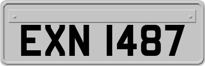 EXN1487