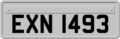 EXN1493