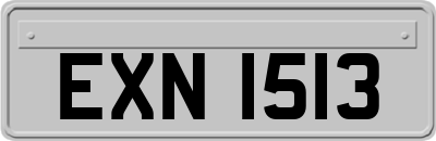 EXN1513