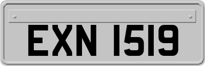 EXN1519