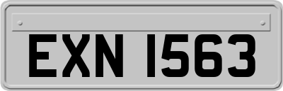 EXN1563