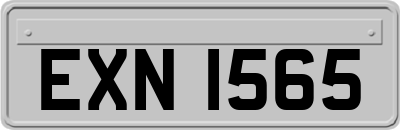 EXN1565
