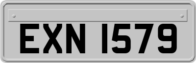 EXN1579
