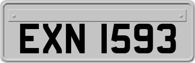 EXN1593