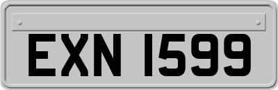 EXN1599