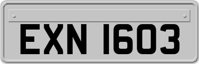 EXN1603