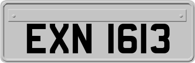 EXN1613