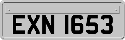 EXN1653