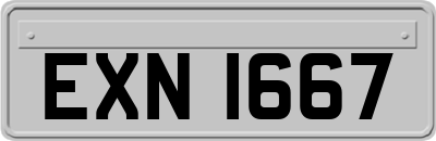 EXN1667