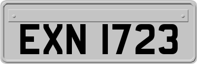 EXN1723
