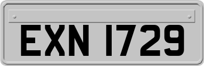 EXN1729