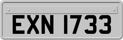 EXN1733