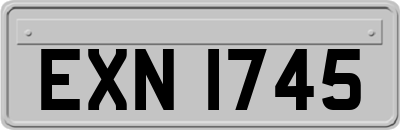 EXN1745