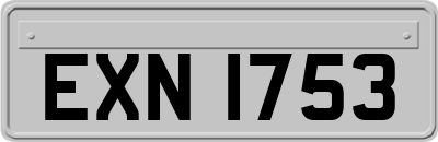 EXN1753