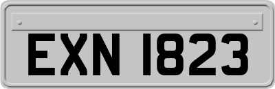 EXN1823