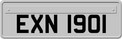 EXN1901