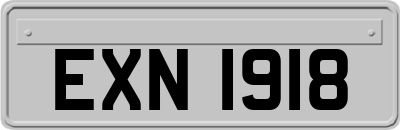 EXN1918
