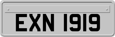 EXN1919