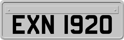 EXN1920