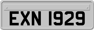 EXN1929