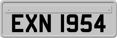 EXN1954