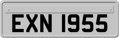 EXN1955