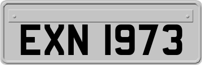 EXN1973