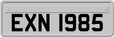 EXN1985