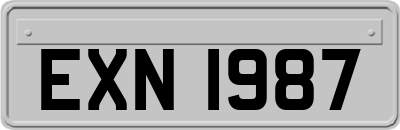 EXN1987
