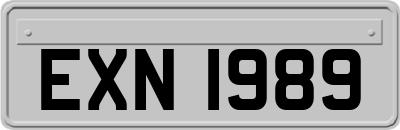 EXN1989