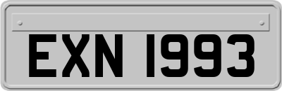 EXN1993