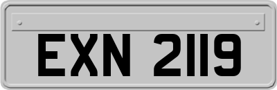 EXN2119