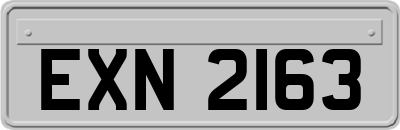 EXN2163