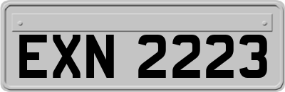 EXN2223