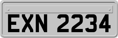 EXN2234