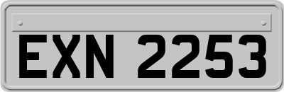 EXN2253