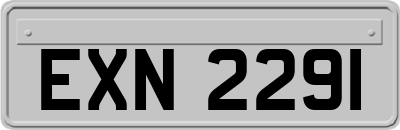 EXN2291