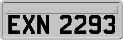 EXN2293