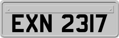 EXN2317