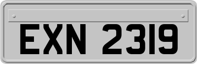EXN2319
