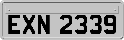 EXN2339