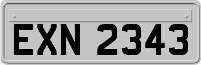 EXN2343